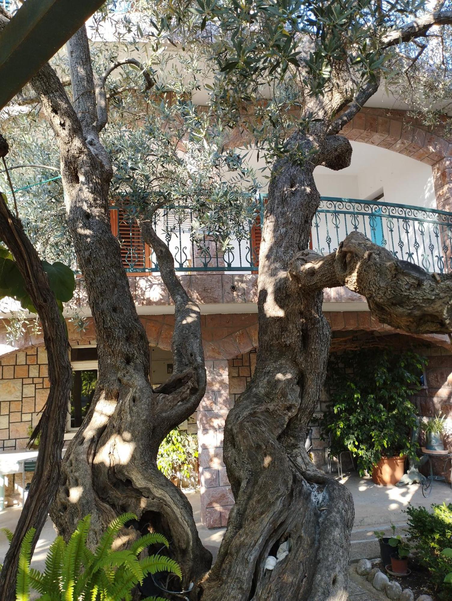 Zoro Apartments Sveti Stefan Værelse billede